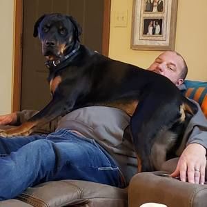 Meet your Posher, Mark